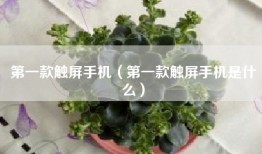 第一款触屏手机（第一款触屏手机是什么）