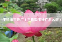 手机淘宝推广（手机淘宝推广怎么做）