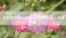 手机声卡怎么安装（手机声卡怎么安装步骤）