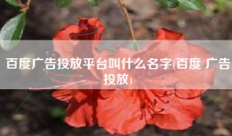 百度广告投放平台叫什么名字(百度 广告投放)