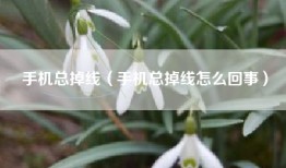 手机总掉线（手机总掉线怎么回事）