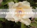 恋夜秀场手机安卓（恋夜秀场支持安卓ic）