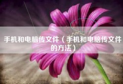 手机和电脑传文件（手机和电脑传文件的方法）
