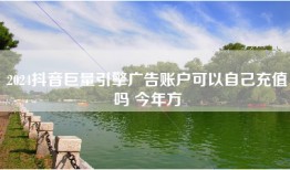 2024抖音巨量引擎广告账户可以自己充值吗 今年方