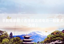 手机电维修（去手机店修电池一般要多少钱）