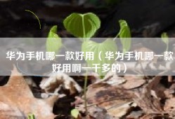华为手机哪一款好用（华为手机哪一款好用啊一千多的）