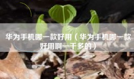 华为手机哪一款好用(华为手机哪一款好用啊一千多的)