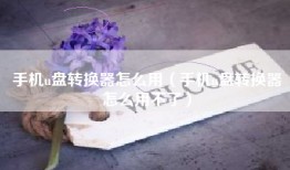 手机u盘转换器怎么用（手机u盘转换器怎么用不了）