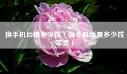 换手机后盖多少钱（换手机后盖多少钱苹果）