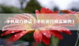 手机银行被盗（手机银行被盗案例）