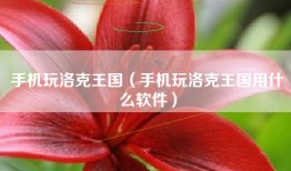 手机玩洛克王国（手机玩洛克王国用什么软件）