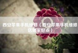 西安苹果手机维修（西安苹果手机维修店哪家好点）