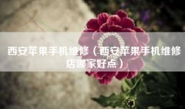 西安苹果手机维修（西安苹果手机维修店哪家好点）