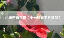 小米所有手机（小米所有手机机型）