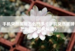 手机突然黑屏怎么回事（手机突然黑屏怎么回事如何解决）