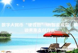 数字人民币“硬钱包”NFC智能戒指：解锁未来支付方式