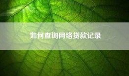 如何查询网络贷款记录