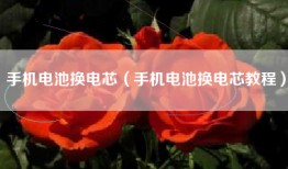 手机电池换电芯（手机电池换电芯教程）