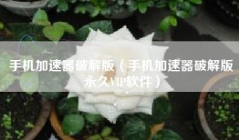 手机加速器破解版（手机加速器破解版永久VIP软件）
