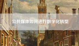 公共媒体如何进行数字化转型