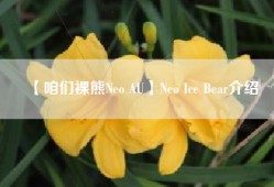 【咱们裸熊Neo AU】Neo Ice Bear介绍