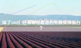 除了1688，还有哪些靠谱的电商货源平台？