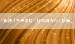 流沙手机壳图片（什么叫流沙手机壳）