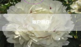账户操作