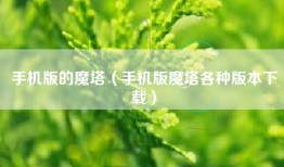 手机版的魔塔（手机版魔塔各种版本下载）