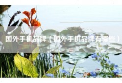 国外手机品牌（国外手机品牌有哪些）