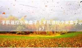 手机遥控小米盒子（手机遥控小米盒子app）