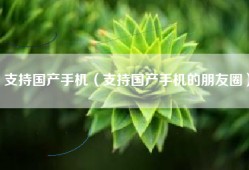 支持国产手机（支持国产手机的朋友圈）
