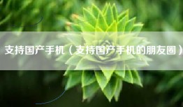支持国产手机（支持国产手机的朋友圈）
