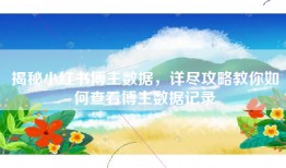 揭秘小红书博主数据，详尽攻略教你如何查看博主数据记录