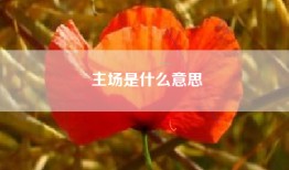 主场是什么意思