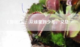 《哪吒2》：从顽童到少年，又及……