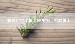 骁龙710的手机（骁龙710手机降价）