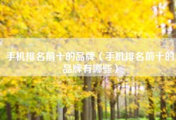 手机排名前十的品牌（手机排名前十的品牌有哪些）