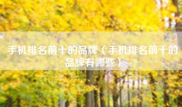 手机排名前十的品牌（手机排名前十的品牌有哪些）