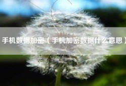 手机数据加密（手机加密数据什么意思）