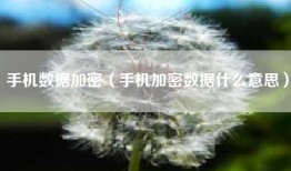 手机数据加密（手机加密数据什么意思）