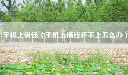 手机上借钱（手机上借钱还不上怎么办）
