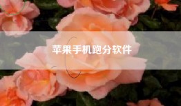 苹果手机跑分软件