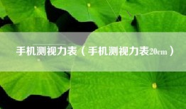 手机测视力表（手机测视力表20cm）
