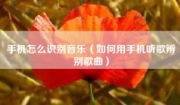 手机怎么识别音乐（如何用手机听歌辨别歌曲）