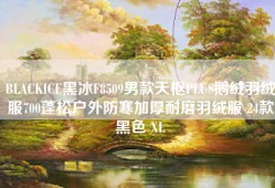 BLACKICE黑冰F8509男款天枢PLUS鹅绒羽绒服700蓬松户外防寒加厚耐磨羽绒服 24款黑色 XL