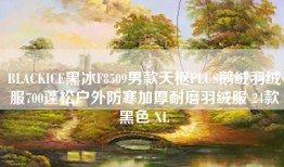 BLACKICE黑冰F8509男款天枢PLUS鹅绒羽绒服700蓬松户外防寒加厚耐磨羽绒服 24款黑色 XL