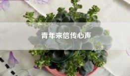 青年来信传心声