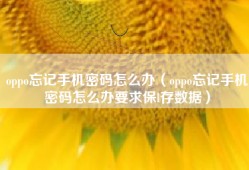 oppo忘记手机密码怎么办（oppo忘记手机密码怎么办要求保l存数据）