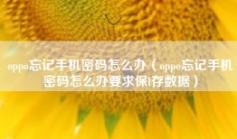 oppo忘记手机密码怎么办（oppo忘记手机密码怎么办要求保l存数据）
